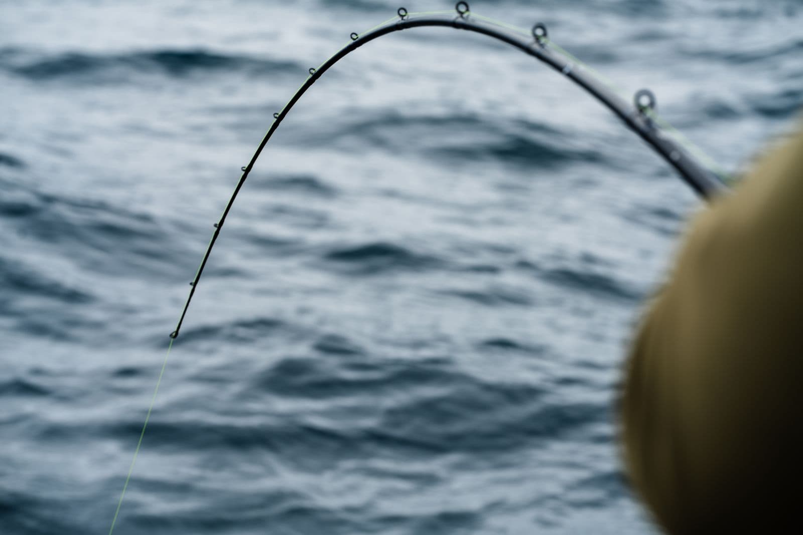 Fish on, Coronado Islands
