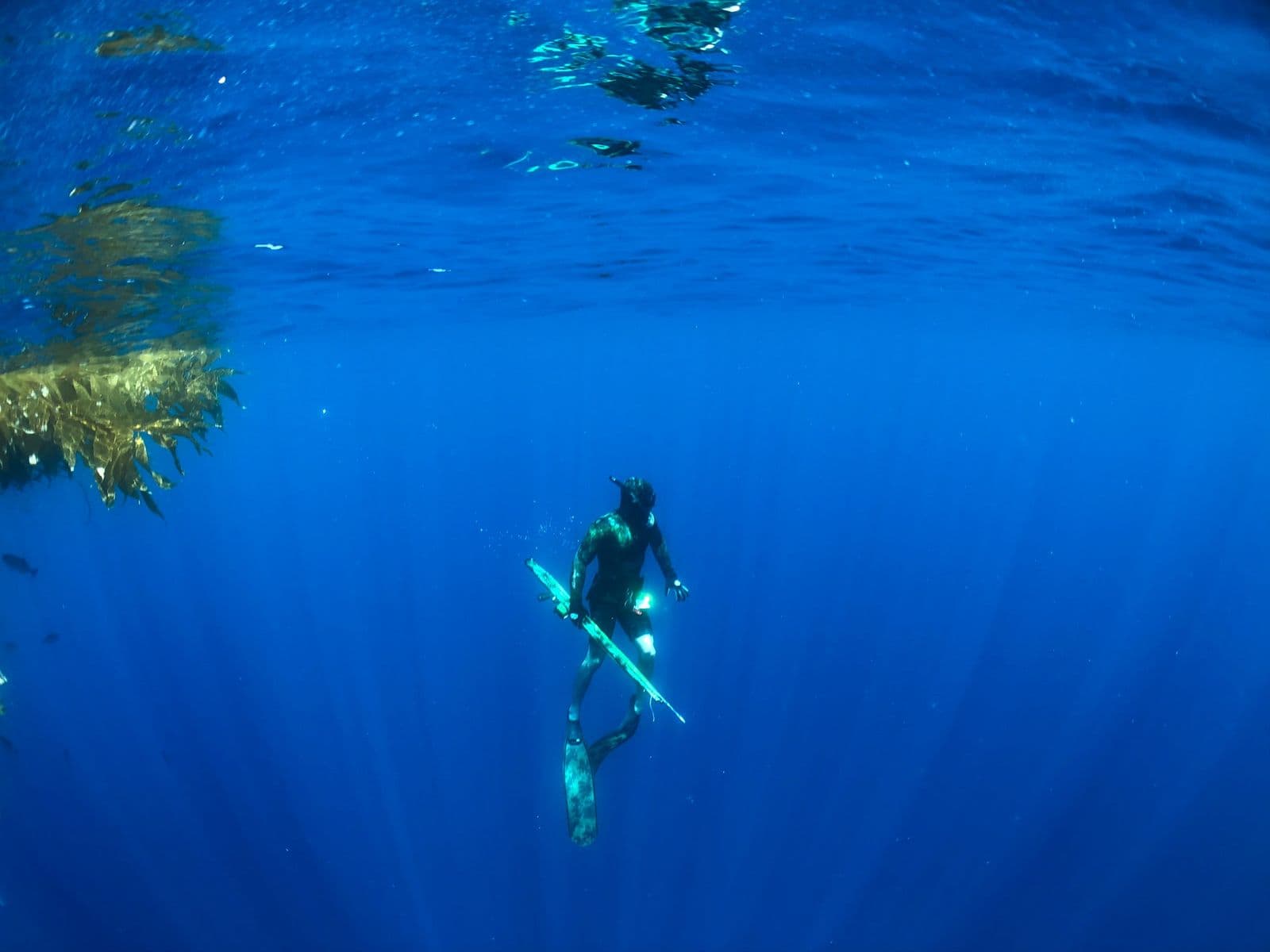 Freediving in open water